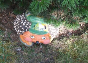 Строки с передовой долетели до «Артека»